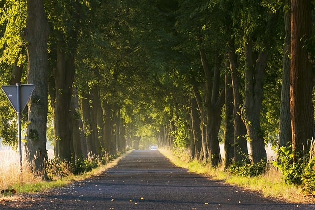 Free download road path village direction nature free picture to be edited with GIMP free online image editor