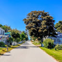 Road silhouetted by trees  screen for extension Chrome web store in OffiDocs Chromium