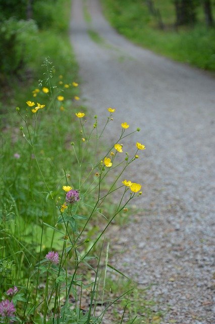 Kostenloser Download Roads Road Dirt The Direction - kostenloses Foto oder Bild zur Bearbeitung mit GIMP Online-Bildbearbeitung