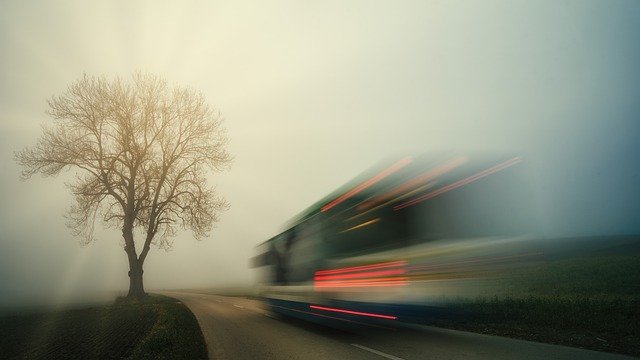 Free download road tree bus driving autumn free picture to be edited with GIMP free online image editor