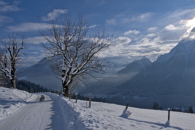 Free download road trees mountains snow nature free picture to be edited with GIMP free online image editor