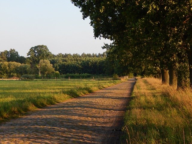 Free download Road Village Trees Country -  free photo or picture to be edited with GIMP online image editor