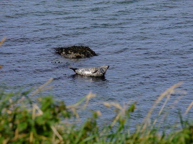 Robbe Firthofforth Firth 무료 다운로드 - 무료 사진 또는 GIMP 온라인 이미지 편집기로 편집할 사진