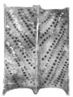 Free download Robe made to imitate leopard skin with rosettes with the name of Harnedj-? free photo or picture to be edited with GIMP online image editor