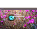Robins Nest Spring  screen for extension Chrome web store in OffiDocs Chromium