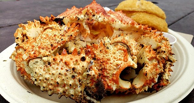 Free download Rock Crab Santa Barbara Shellfish -  free photo or picture to be edited with GIMP online image editor