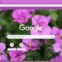 Rock Cress  screen for extension Chrome web store in OffiDocs Chromium