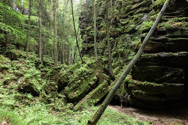 Téléchargement gratuit de Rock Landscape Gorge - photo ou image gratuite à modifier avec l'éditeur d'images en ligne GIMP