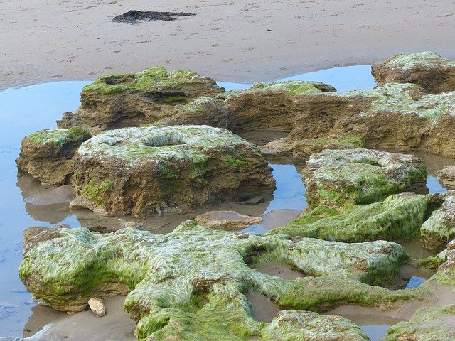 Free picture Rock Pools Beach Ocean -  to be edited by GIMP free image editor by OffiDocs