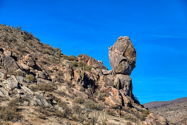 Free download rocks cactus desert free picture to be edited with GIMP free online image editor