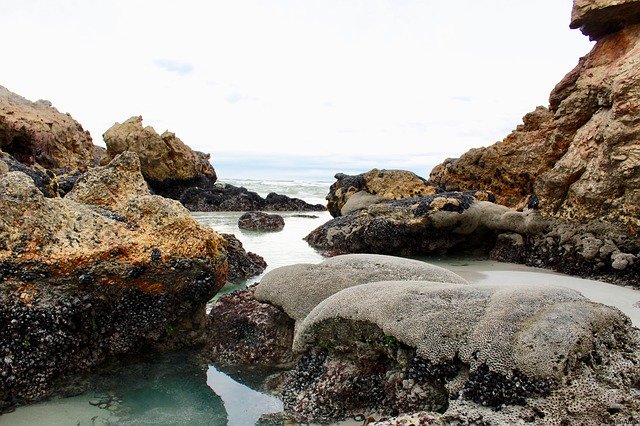 免费下载 Rocks Coral Ocean 免费照片模板，可使用 GIMP 在线图像编辑器进行编辑