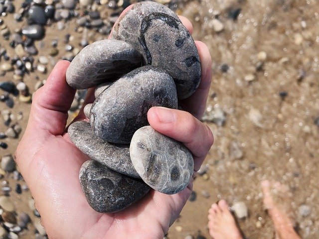 Descărcare gratuită Rocks Rock Hounding Beach Petoskey - fotografie sau imagini gratuite pentru a fi editate cu editorul de imagini online GIMP