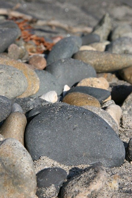 Безкоштовно завантажте безкоштовний фотошаблон Rocks Seaweed Driftwood для редагування в онлайн-редакторі зображень GIMP