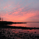 Rocky Beach Shoreline at Dawn  screen for extension Chrome web store in OffiDocs Chromium