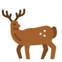 Rocky Mountain Elk Gathering  screen for extension Chrome web store in OffiDocs Chromium