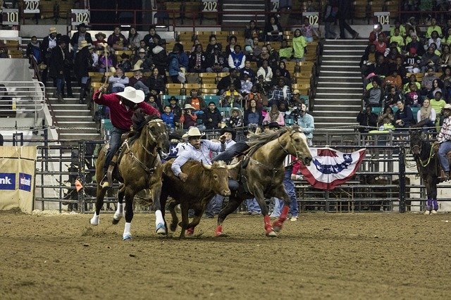 تنزيل Rodeo Calf Bulldogging مجانًا - صورة أو صورة مجانية ليتم تحريرها باستخدام محرر الصور عبر الإنترنت GIMP