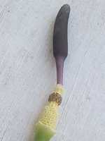 Free download Rodul pamantului free photo or picture to be edited with GIMP online image editor