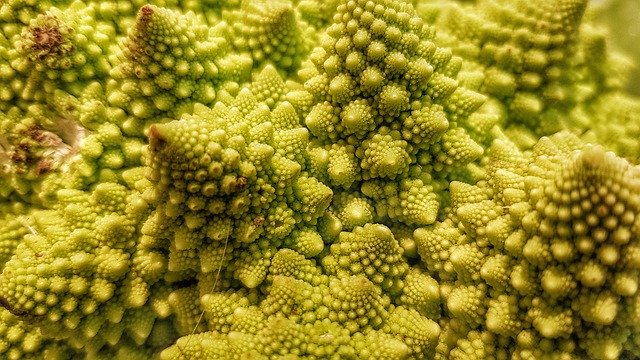 Free download Romanesco Vegetable Bless You -  free free photo or picture to be edited with GIMP online image editor
