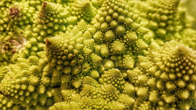 Libreng download Romanesco Vegetable Bless You - libreng libreng larawan o larawan na ie-edit gamit ang GIMP online na editor ng imahe