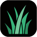 Romans Black Grass  screen for extension Chrome web store in OffiDocs Chromium