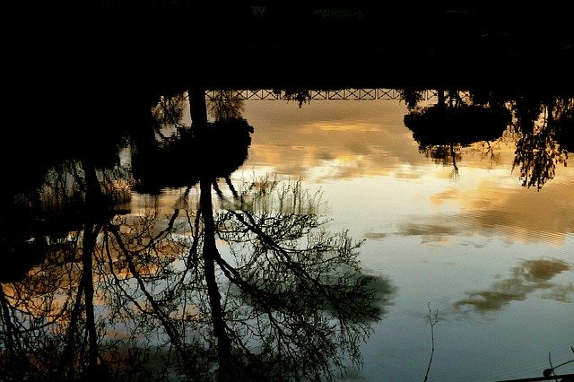 دانلود رایگان Rome Villa Ada Lake - عکس یا تصویر رایگان قابل ویرایش با ویرایشگر تصویر آنلاین GIMP