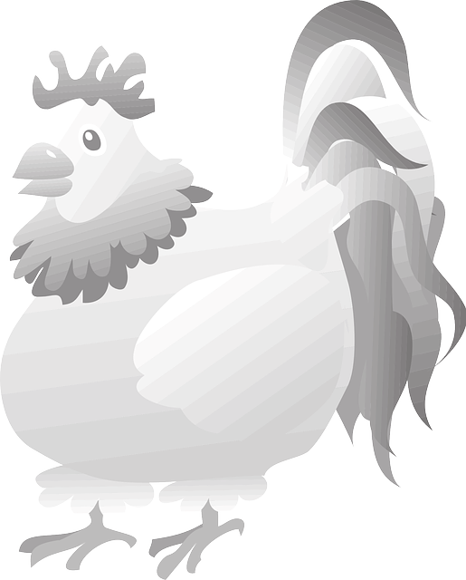 Free download Rooster Bird Grey - Free vector graphic on Pixabay free illustration to be edited with GIMP free online image editor