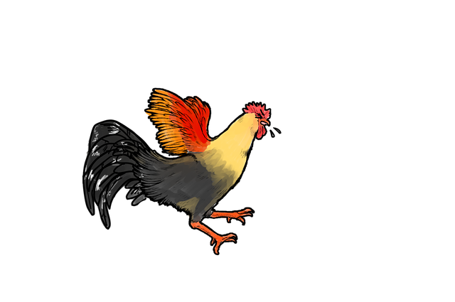 Free download Rooster Cock Hen -  free illustration to be edited with GIMP free online image editor