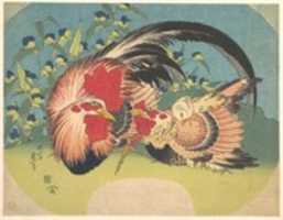 Free download Rooster, Hen and Chicken with Spiderwort free photo or picture to be edited with GIMP online image editor