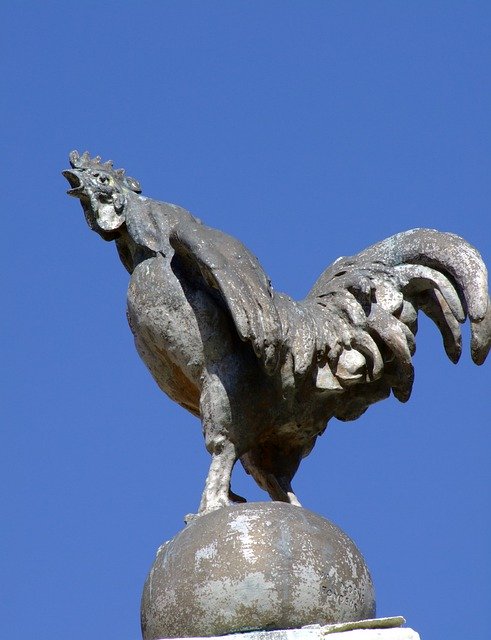 قم بتنزيل Rooster Statue Sculpture - صورة مجانية أو صورة ليتم تحريرها باستخدام محرر الصور عبر الإنترنت GIMP