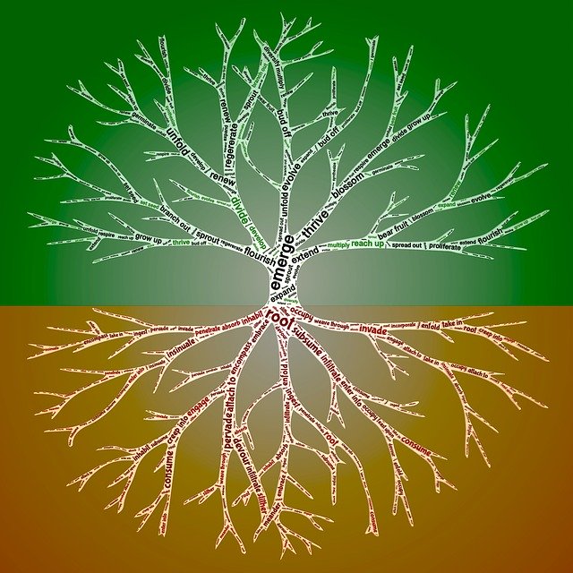 Free download Rooting Reaching Branching -  free illustration to be edited with GIMP free online image editor