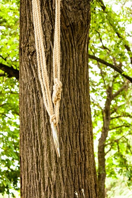 免费下载 Rope Link Outdoor - 使用 GIMP 在线图像编辑器编辑的免费照片或图片