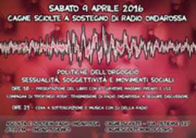 Free download ror_9aprile_cagne_grande free photo or picture to be edited with GIMP online image editor