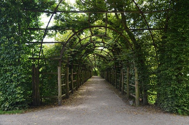 Скачать бесплатно Rose Arches Hedge Green - бесплатное фото или изображение для редактирования с помощью онлайн-редактора изображений GIMP