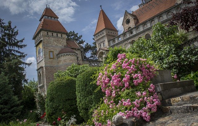 Bezpłatne pobieranie Rose Architectural - bezpłatne zdjęcie lub obraz do edycji za pomocą internetowego edytora obrazów GIMP