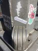 Free download Rosebud free photo or picture to be edited with GIMP online image editor