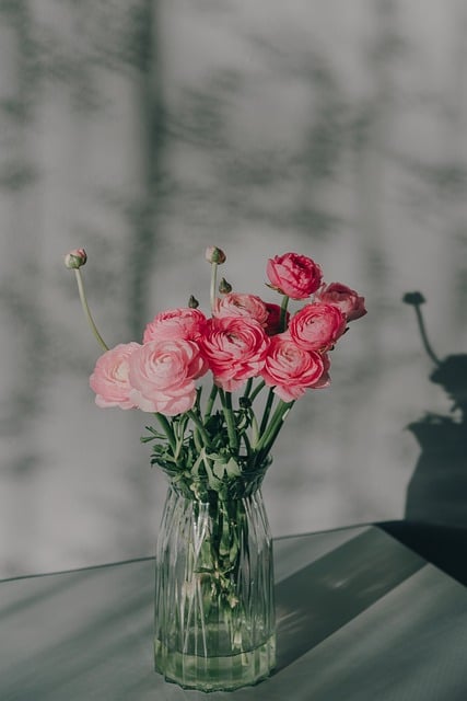 Free download rose flowers vase pink flowers free picture to be edited with GIMP free online image editor