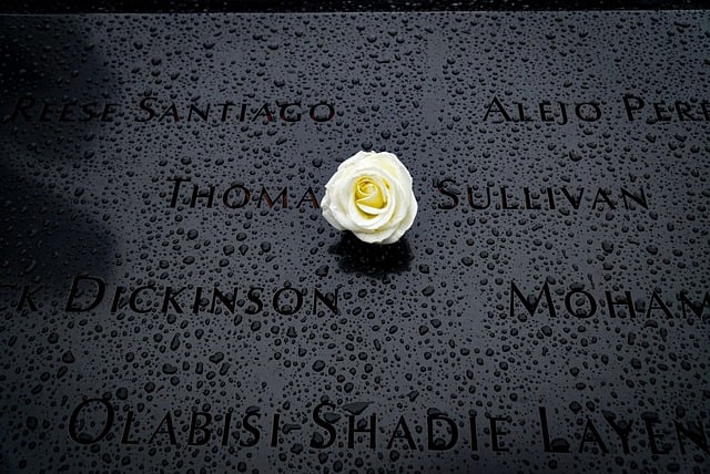 Free download rose flower terrorism monument free picture to be edited with GIMP free online image editor