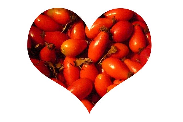 تنزيل Rose Hip Heart Wild مجانًا - رسم توضيحي مجاني ليتم تحريره باستخدام محرر الصور المجاني على الإنترنت من GIMP