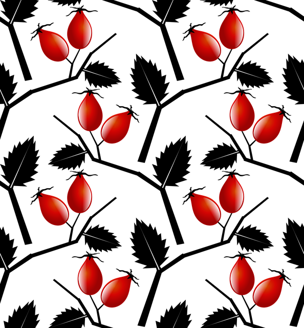 Free download Rose Hip Pattern Branches -  free illustration to be edited with GIMP free online image editor