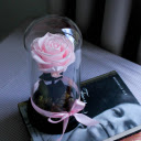 Rose in the box  screen for extension Chrome web store in OffiDocs Chromium