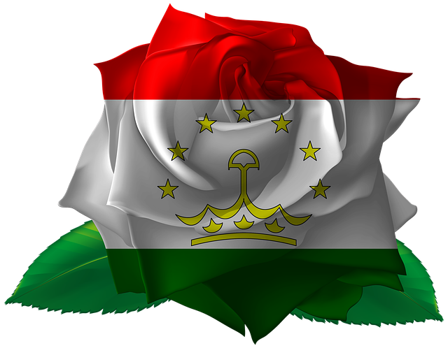 Téléchargement gratuit Rose Iran Tadjikistan illustration gratuite à éditer avec l'éditeur d'images en ligne GIMP