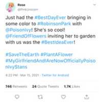 Free download Rose Ivy Stan free photo or picture to be edited with GIMP online image editor