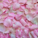 Rose leaf  screen for extension Chrome web store in OffiDocs Chromium