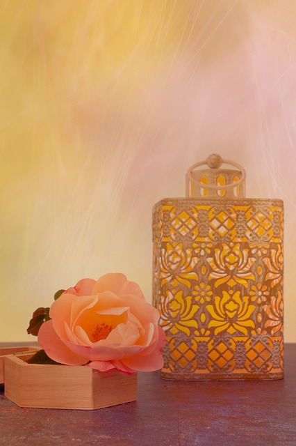 Free download rose light lantern design free picture to be edited with GIMP free online image editor
