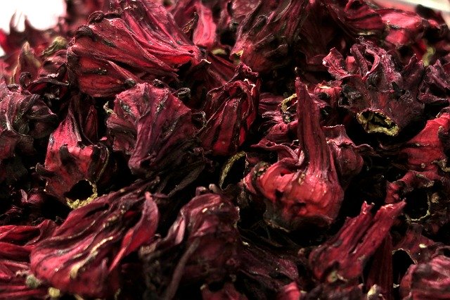 Free download Roselle Chinese Medicine -  free photo or picture to be edited with GIMP online image editor