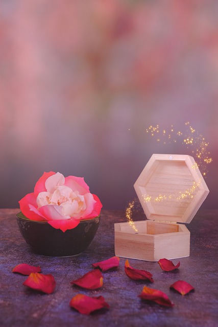 Free download rose magic petals red rose free picture to be edited with GIMP free online image editor