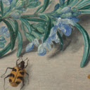 Rosemary Critters  screen for extension Chrome web store in OffiDocs Chromium