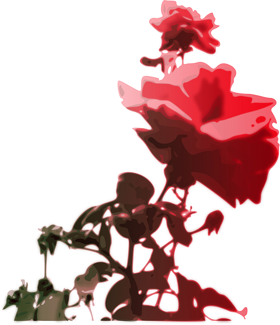 Free download Rose Pink Flower - Free vector graphic on Pixabay free illustration to be edited with GIMP free online image editor