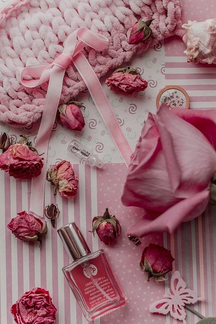 Free download rose pink gift flowers summer free picture to be edited with GIMP free online image editor