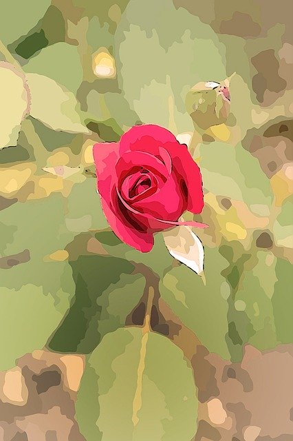 Free download Rose Plant Flower -  free illustration to be edited with GIMP free online image editor